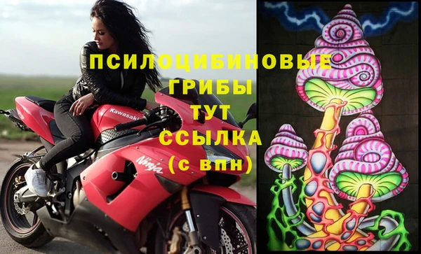прущая мука Арсеньев