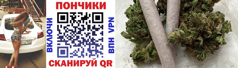 Канабис план  Питкяранта 